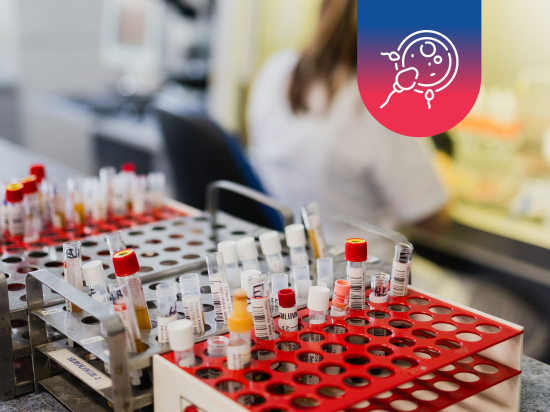 Reprodukční zdraví muže: vyšetření z krve