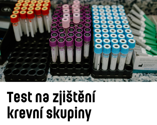 Test na zjištění krevní skupiny