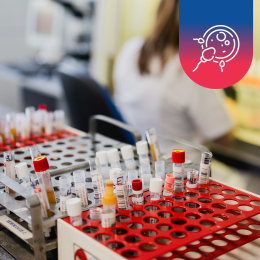 Reprodukční zdraví muže: vyšetření z krve